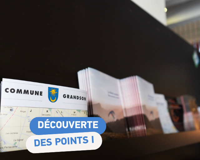 Couverture site web ADNV