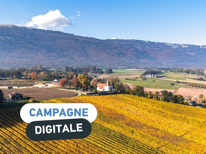 Campagne digitale