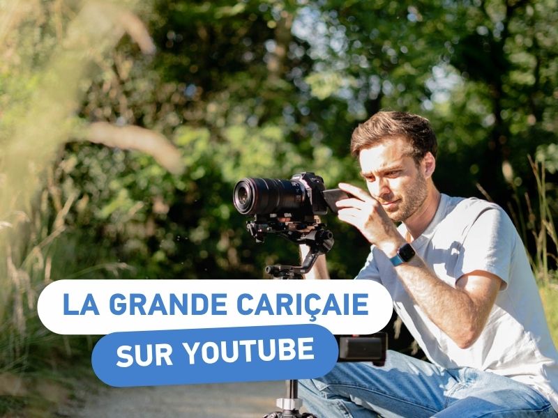 La Grande Cariçaie Youtube